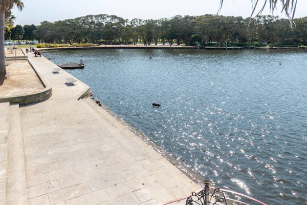 Centennial Parklands – Duck Pond Retaining Wall Remediation Works