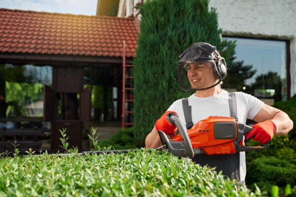 Why Regular Landscaping Maintenance Matters for Australian Properties