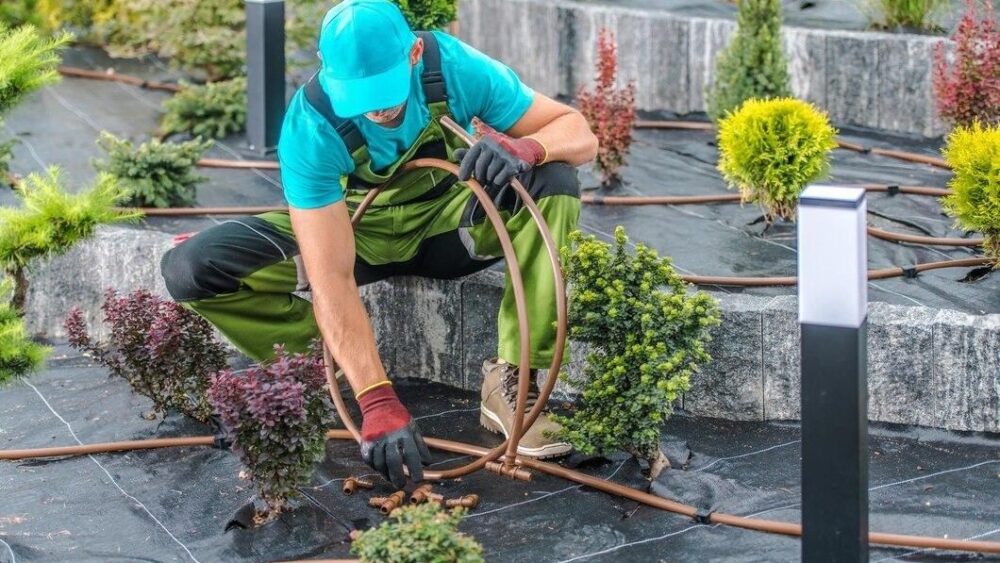 Landscaping Solution