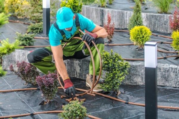 Landscaping Solution